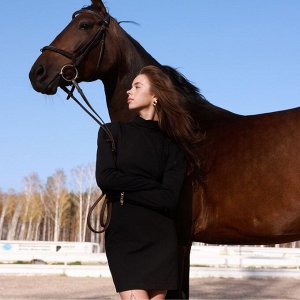 Платье женское (футляр) MINAKU: PartyDress цвет черный
