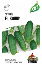 Огурец Конни F1 0,3 г ХИТ х3