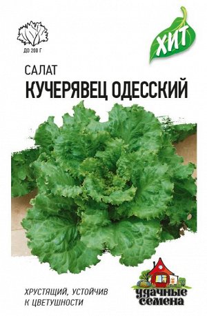 Салат Кучерявец Одесский 0,5 г хрустящий ХИТ х3
