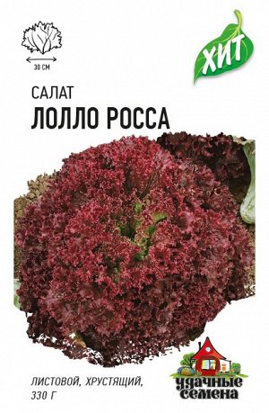 Салат Лолло Росса 0,5 г листовой, бордовый ХИТ х3
