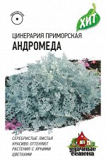 Цинерария Андромеда (приморская)* 0,1 г ХИТ х3