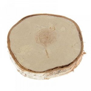 Спил березы, шлифованный с одной стороны, диаметр 20-25 см, толщина 1-3 см