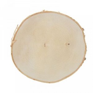 Спил березы, шлифованный с одной стороны, диаметр 25-30 см, толщина 2-3 см