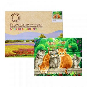 Картина по номерам "Любопытные котята" GX26358