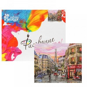 Рисование по номерам "Парижские улочки" 40х50 см С018