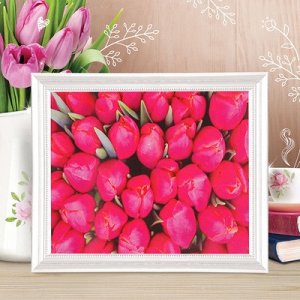 Роспись по холсту "Тюльпаны розовые" по номерам с краск по 3 мл+ кисти+инстр+крепеж 30*40