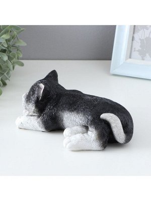Фигурка полистоун TAKE IT EASY «Спящий кот», 7x18x10 см