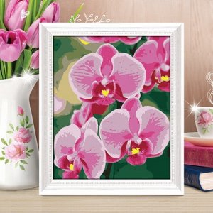 Роспись по номерам "Орхидея" с красками 14шт по3мл+ кисти 30*40 см