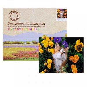 Картина по номерам "Котенок в цветах" GX28404