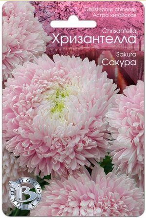 Астра китайская Хризантелла Сакура 30шт Биотехника