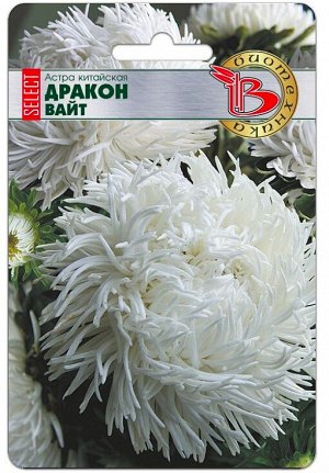 Астра китайская Дракон Selekt Вайт 30шт Биотехника