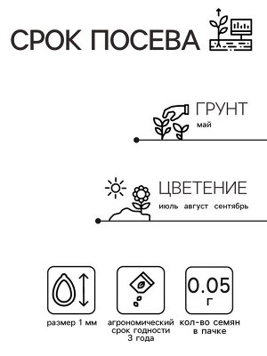 Семена цветов Хризантема девичья "Белые Звезды". О, 0,05 г