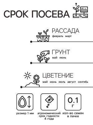 Семена цветов Петуния "Ягодный коктейль", смесь окрасок, О, 0,1 г