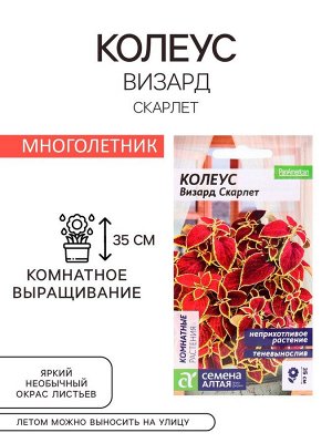 Семена комнатных цветов Колеус "Скарлет", ц/п,  5 шт.