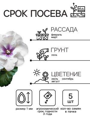 Семена комнатных цветов Глоксиния Аванти "Cветло-фиолетовая", ц/п,  F1, 4 шт.