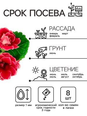 Семена Алтая Семена комнатных цветов Глоксиния Аванти &quot;Персиково-розовая&quot;, ц/п,  F1, 8 шт.