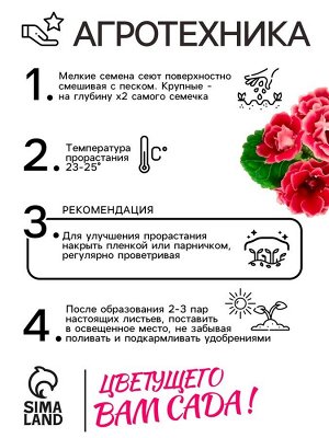 Семена Алтая Семена комнатных цветов Глоксиния Аванти &quot;Персиково-розовая&quot;, ц/п,  F1, 8 шт.
