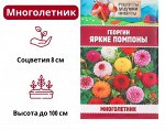 Георгины, хризантемы, календула