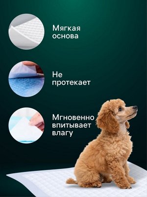 Пеленки впитывающие "Мой выбор" целлюлозные, 60 х 40 см, набор 5 шт