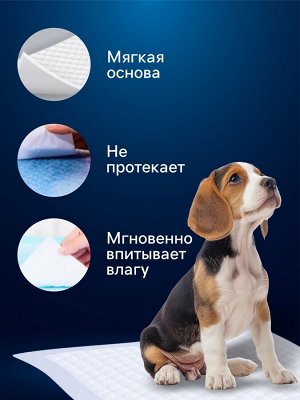 Пеленки для животных шестислойные гелевые, 60 х 60 см, (в наборе 5 шт)