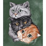 ✰Полотенца кухонные вафельные✰