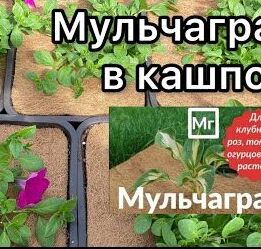 Мульчаграм 75х300 см