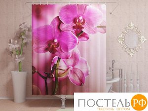 Фотоштора для ванной 145x180, 1 полотно, на люверсах Розовая орхидея