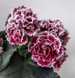 ЛФ - Лесные ягоды