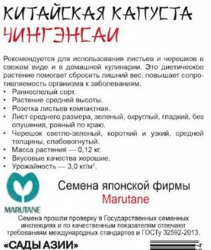 Капуста китайская "Чингенсаи"