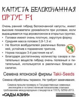Капуста б/к "Ортус" F1
