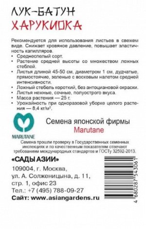 Лук-Батун "Харукиока"