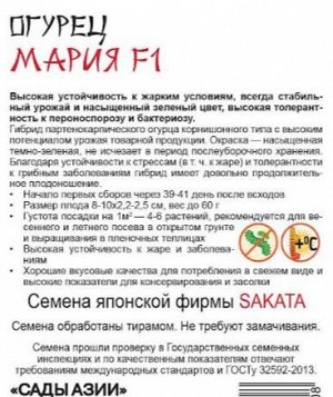 Огурец "Мария" F1