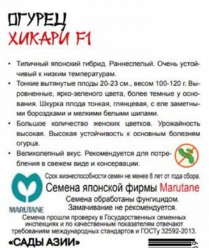 Огурец " Хикари"