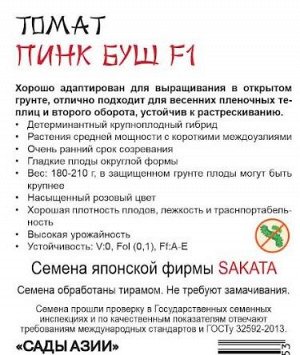 Томат "Пинк буш" F1