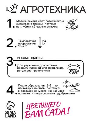 Семена комнатных цветов Гербера "Смесь", F1, 5 шт.