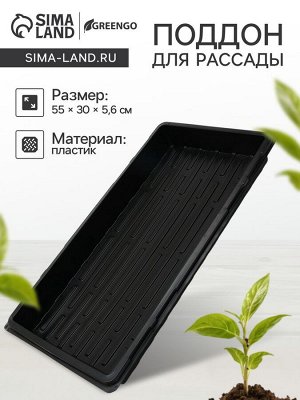 Поддон для рассады, 55x30x5.6 см, пластик, чёрный, Greengo