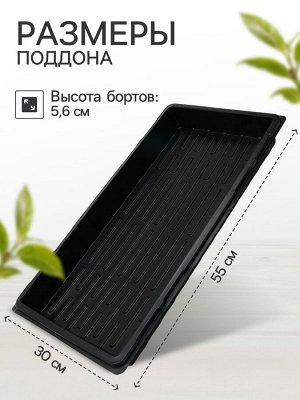 Поддон для рассады, 55x30x5.6 см, пластик, чёрный, Greengo