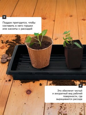 Поддон для рассады, 55x30x5.6 см, пластик, чёрный, Greengo