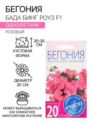 Семена комнатных цветов Бегония "Бада Бинг Роуз", 10 шт.