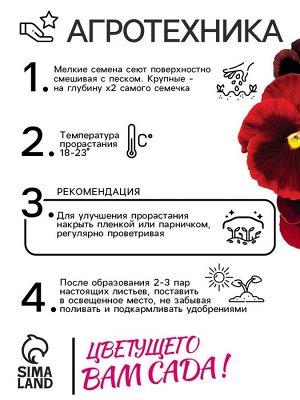 Семена Виола "Матрикс", F1, красная