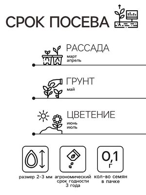 Семена Нивяник Серебряная принцесса 0.1г*