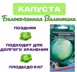 Капуста белокочанная &quot;Валентина F1&quot; поздняя 0,1 г