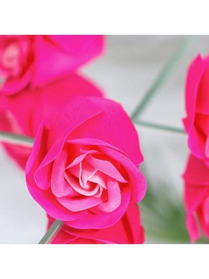 Мыльные розочки, трёхцветные, набор 6 шт.