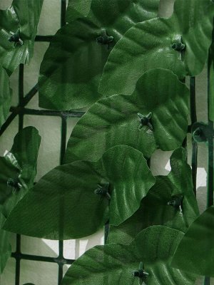 Изгородь декоративная, 50 ? 300 см, «Листья удлинённые», Greengo