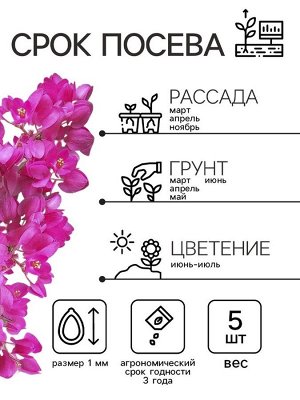 Семена Антигонон "Лиана любви", ц/п,  5 шт.