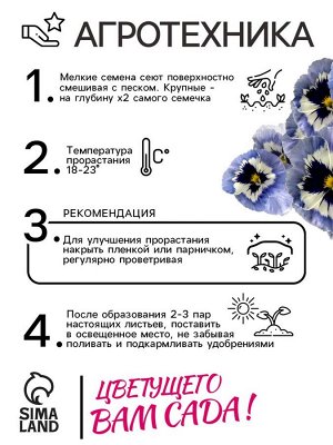 Семена Виола "Барон Морской", ц/п,  F1, 5 шт.