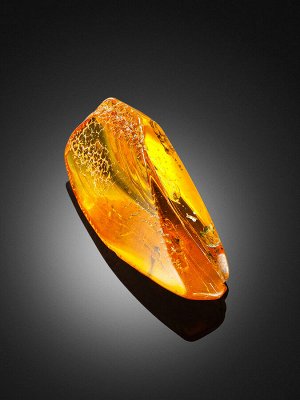 Кусочек янтаря с инклюзом доисторического насекомого