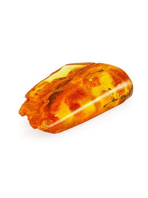 Натуральный янтарь с включением насекомого
