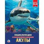 Книга &quot;Умка&quot; Энциклопедия. Акулы , А4  19,7*25,5 см