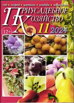 Приусадебное Хозяйство 11/24